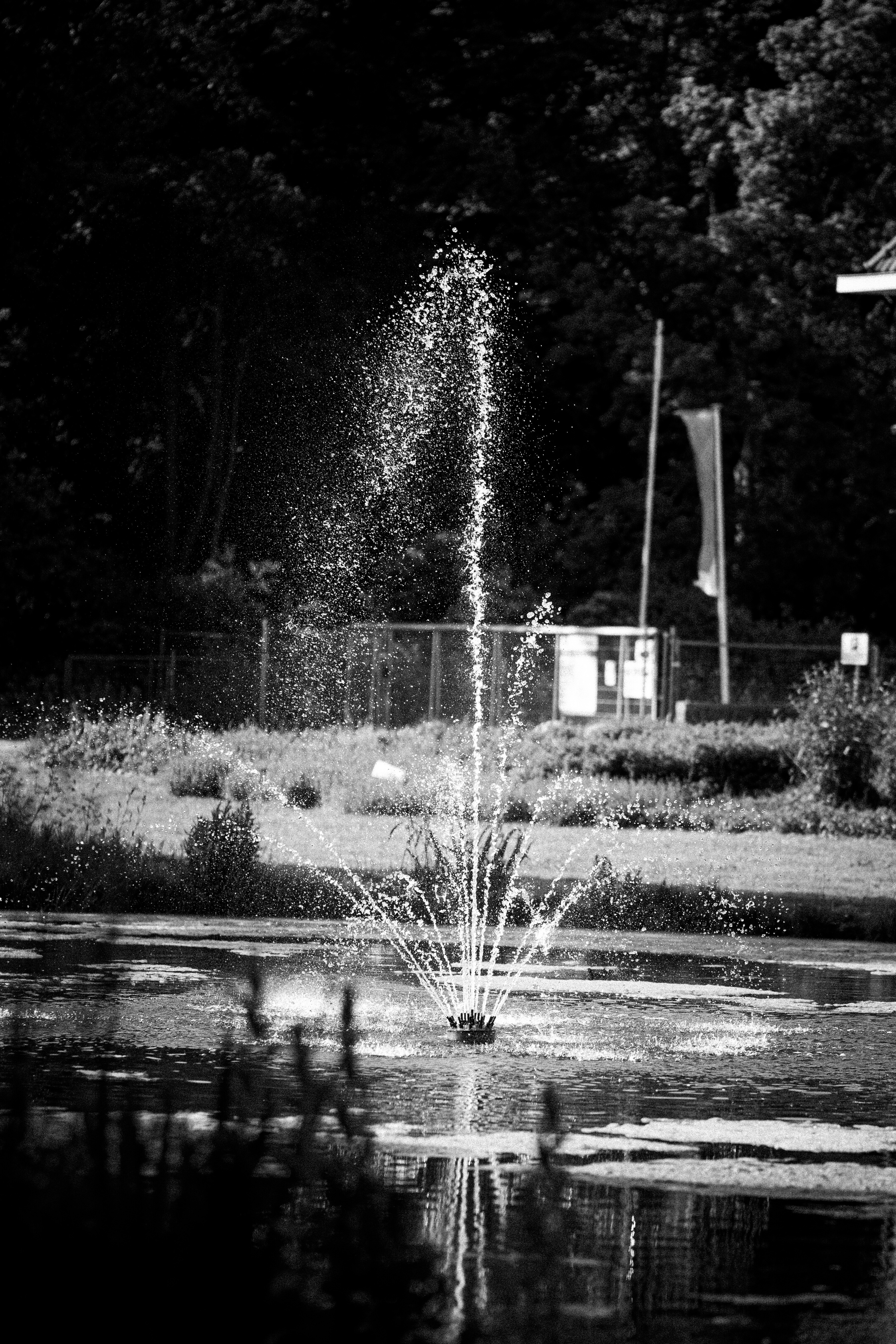 Cultuurpark De Hout Alkmaar — 2023 05 28 De Hout Op Stelten — 0423 — Foto 09106
