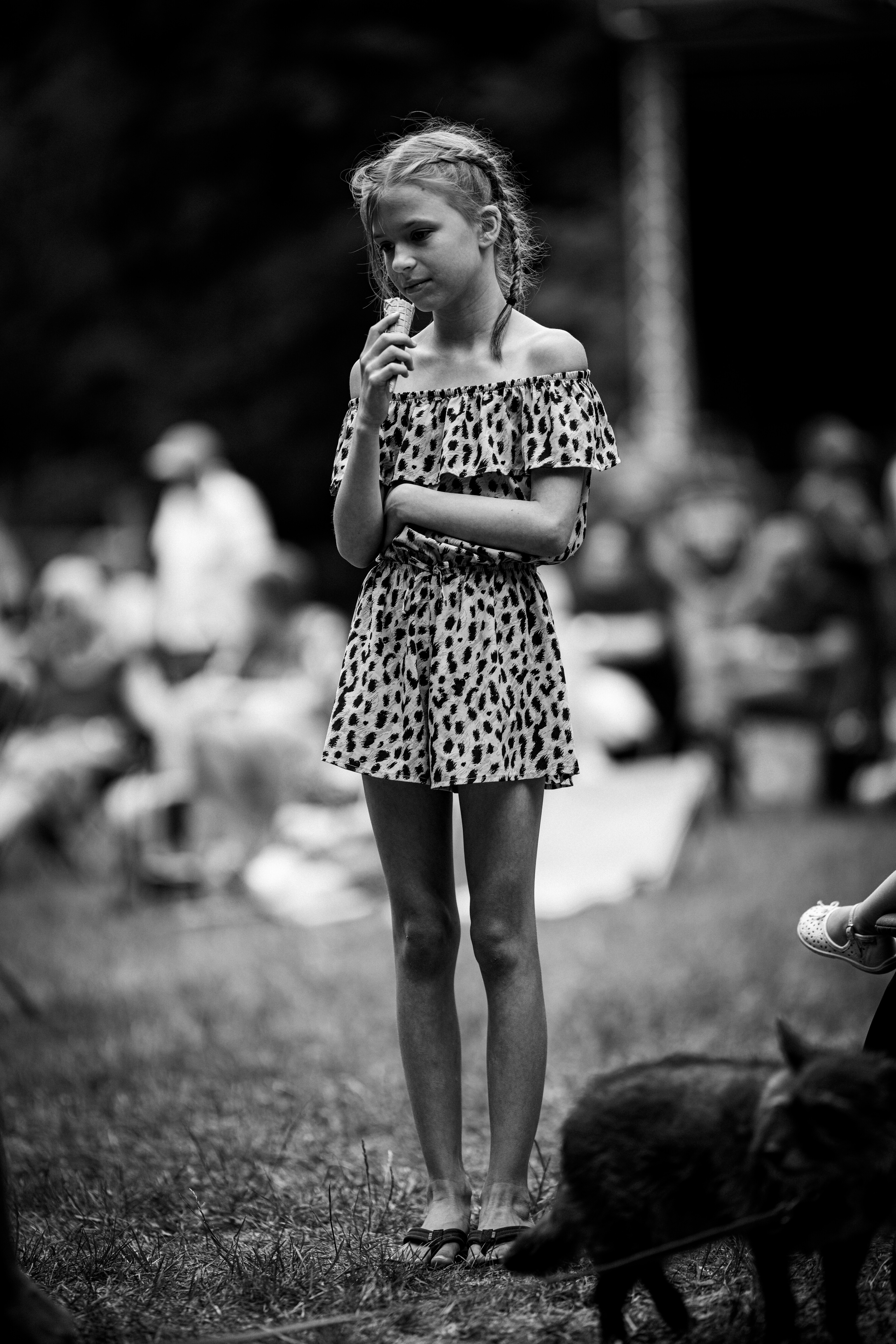 Cultuurpark De Hout Alkmaar — 2023 06 18 De Hout Orkestenmiddag — 0084 — Foto 9435